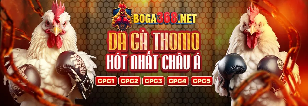 Đá gà trực tuyến kịch tính tại Gacam Link Vào